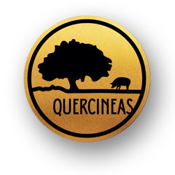 Quercineas